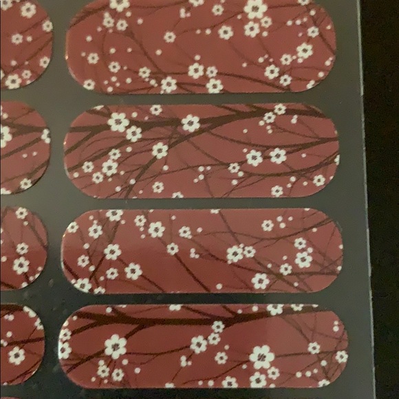 Jamberry- Marsala in bloom (FULL SET) - Picture 3 of 3
